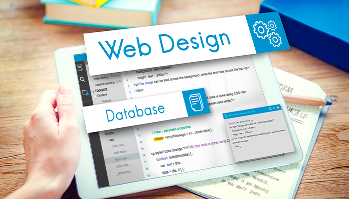 web development at webeedream technlogies